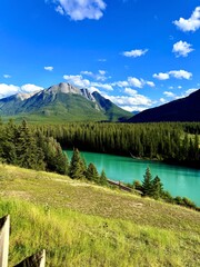 Scenic view of a tranquil turquoise river winding through lush green forested mountains under a bright blue sky with fluffy white clouds, showcasing natural beauty and serenity
