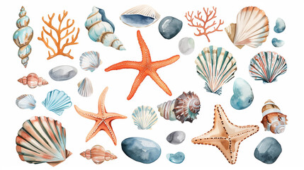 Watercolor collection of seashells, starfish, and coral elements on white background
