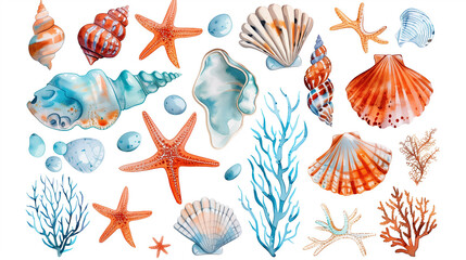 Watercolor collection of seashells, starfish, and coral elements on white background