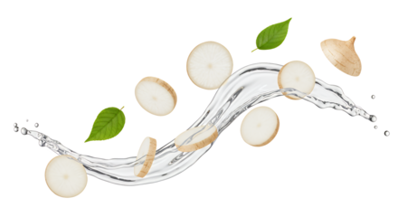 Fresh Slices of White Vegetable with Water Splash and Green Leaves on White Background, Studio Shot