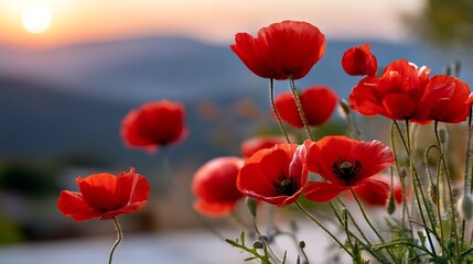 Vivid Red Poppies Under Sunset Sky with Blurred Mountains in Background