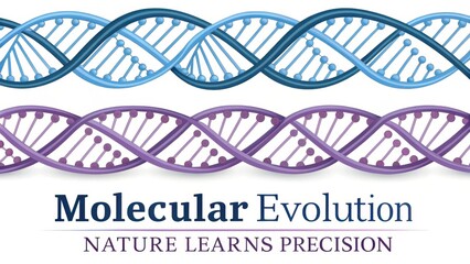 Molecular Evolution Graphic Illustrating DNA Strands with Text Emphasizing Nature's Precision in Biological Processes
