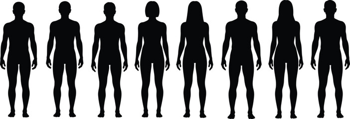 Human body silhouette set, black vector figures of men and women standing, anatomical male female outlines, isolated people collection for medical science and biology.