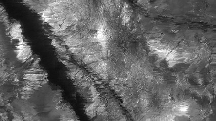 Abstract monochrome glitch art effect background with tree texture.