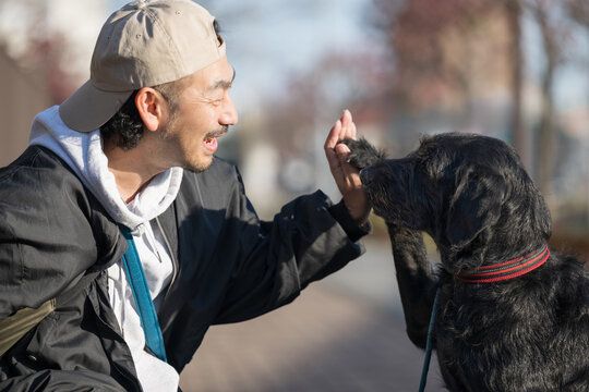 愛犬とハイタッチを楽しむ男性の動物とのコミュニケーションシーン　躾や訓練、仲良しや信頼のイメージ