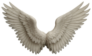 Fototapeta premium Open White Angel Wings with Detailed Feathers and Transparent Background white wings feathered wings isolated on a transparent background