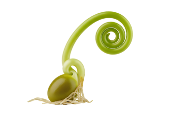 Captivating closeup of a vibrant green seedling unfurling, showcasing new life and growth in a delicate spiral, symbolizing potential and fresh beginnings