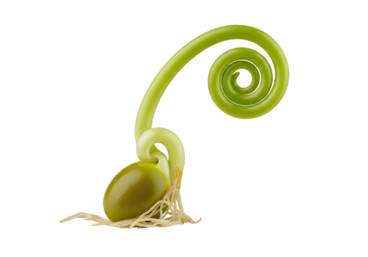 Captivating closeup of a vibrant green seedling unfurling, showcasing new life and growth in a delicate spiral, symbolizing potential and fresh beginnings