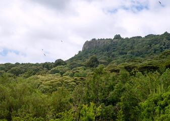 Obraz premium Scenic view on Endebess Bluff of Mount Elgon National Forest, Kenya