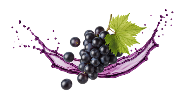 A dynamic splash of rich purple grape juice elegantly surrounds a succulent bunch of dark grapes with a verdant leaf, symbolizing natural refreshment and vibrant flavor on a pristine white background
