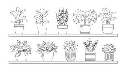 Collection of Line Art Houseplants on Shelves Indoor Garden Decorative Elements for Homes