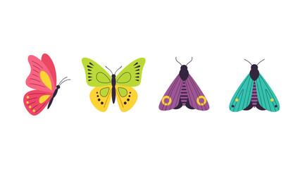 Collection of four stylized butterflies and moths in various vibrant colors and patterns
