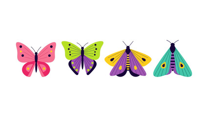 Vibrant Butterfly and Moth Collection Vector Art for Creative Designs and Projects