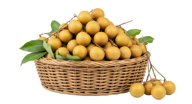 Fresh Longan Fruit Basket A Delicious Pile of Golden, Sweet Tropical Delights