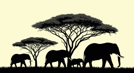 Obraz premium African elephants silhouettes: The iconic African elephants travel under the African savanna trees, a timeless display of nature's beauty and the resilience of life in the wild. 