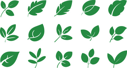 Leaf vector icon set