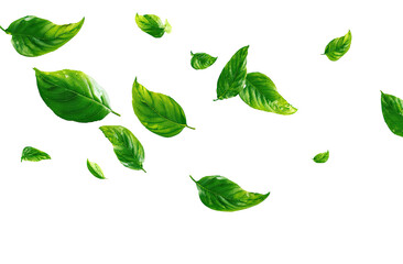 Naklejka premium Green leaves falling, digital art