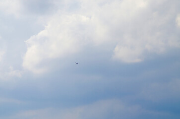 High in the clouds we see a small plane.j