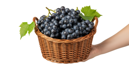 Exotic Durian Fruit Splashing into Creamy Liquid, Tropical Delicacy