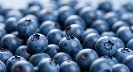 Fresh ripe blueberries background texture macro shot of organic summer fruit pattern filling the frame