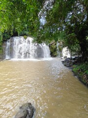 Hidden Waterfall in Green Forest