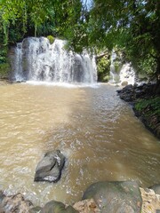 Hidden Waterfall in Green Forest