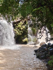 Hidden Waterfall in Green Forest