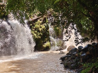 Hidden Waterfall in Green Forest