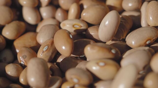 Dry pinto beans ready for cooking in kitchen setting