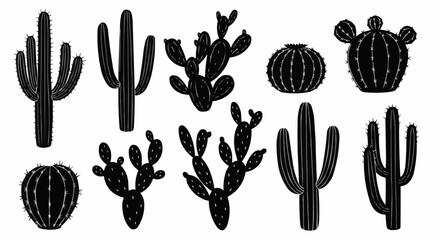 Silhouette collection of various cactus plants in black and white style.