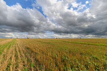 A Vast and Expansive Field Sprawls Beneath a Dramatic and Beautiful Sky Full of Clouds