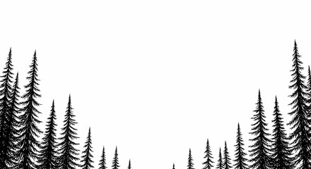 Striking Evergreen Silhouettes Creating A Forest Aesthetic