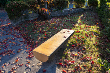 秋の公園で夕日を浴びるベンチ