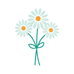 Three simple illustrated daisy flowers with teal stems and bow. isolated on white background