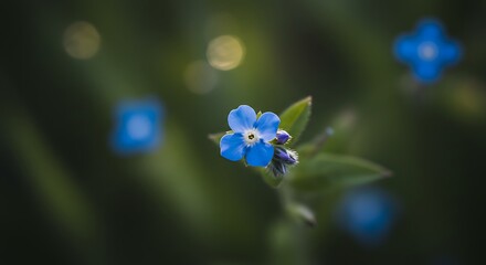 Close up of delicate blue flowers with green leaves and bokeh background