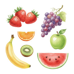 watercolor fruits illustration bundle collection