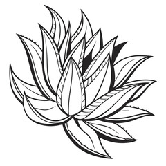 Bold Succulent Outline