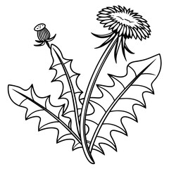 Iconic Dandelion Pop Art