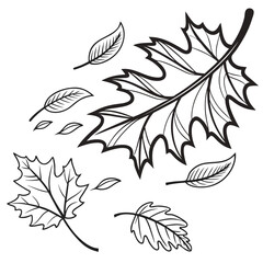 Scattered Autumn Pop Art