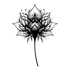 Black and White Lotus Flower Illustration