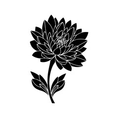 Elegant Black and White Chrysanthemum Illustration