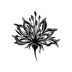 Elegant Black and White Floral Vector Illustration
