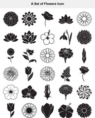 Elegant Flower Collection Floral Icons and Silhouettes © Mithu