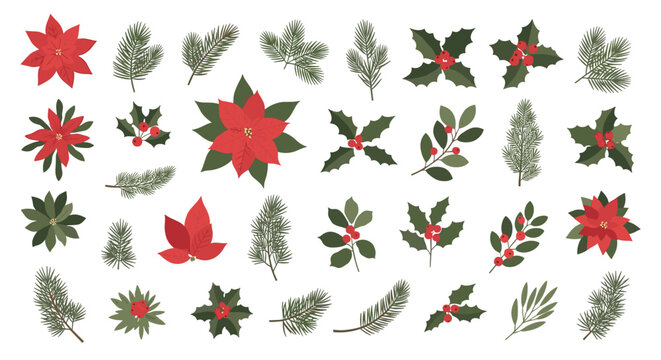 Festive holiday cheer with these delightful poinsettia and holly branch arrangements perfect for Christmas and winter seasonal designs