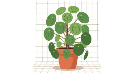 Trendy Pilea peperomioides in terracotta pot radiates modern, minimalist style for home decor and botanical beauty in any space