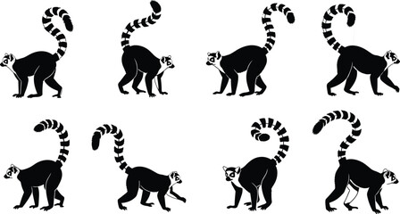 Naklejka premium Ring-tailed lemur silhouette set, cute Madagascar primates with long striped tails, standing and walking, for zoo and wildlife projects.