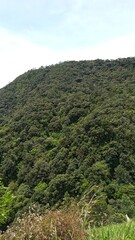 Obraz premium mountain landscape with green grass