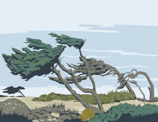 WPA style ukiyo-e or ukiyo illustration of windblown Cypress trees at Restless Sea in the Pacific Coast along 17 Mile Drive, Pebble Beach, California done in retro works project administration style.