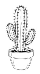 Black and white line drawing of a potted columnar cactus with arms, featuring numerous sharp spines, perfect for coloring pages and vector illustration.
