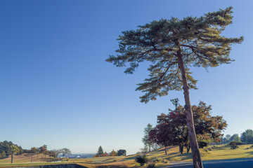 日本周遊　秋深まる快晴のゴルフ場